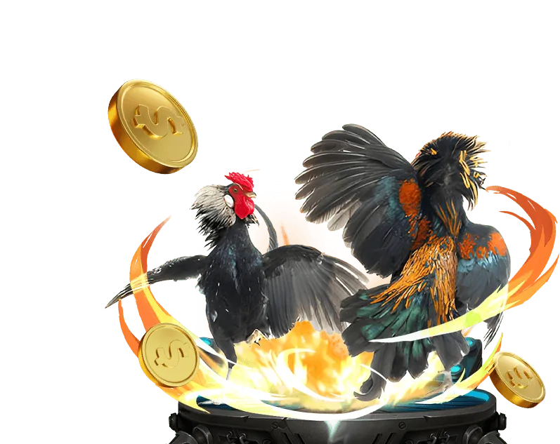 Trực tiếp đá gà HD